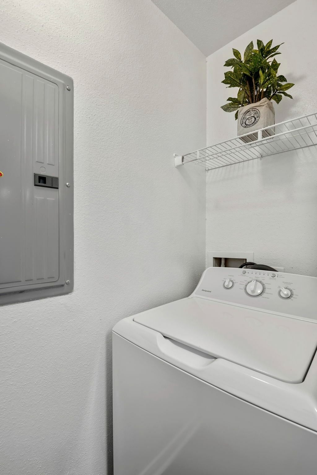 Laundry room with a white top-loading washing machine, a wire shelf, and a potted plant.