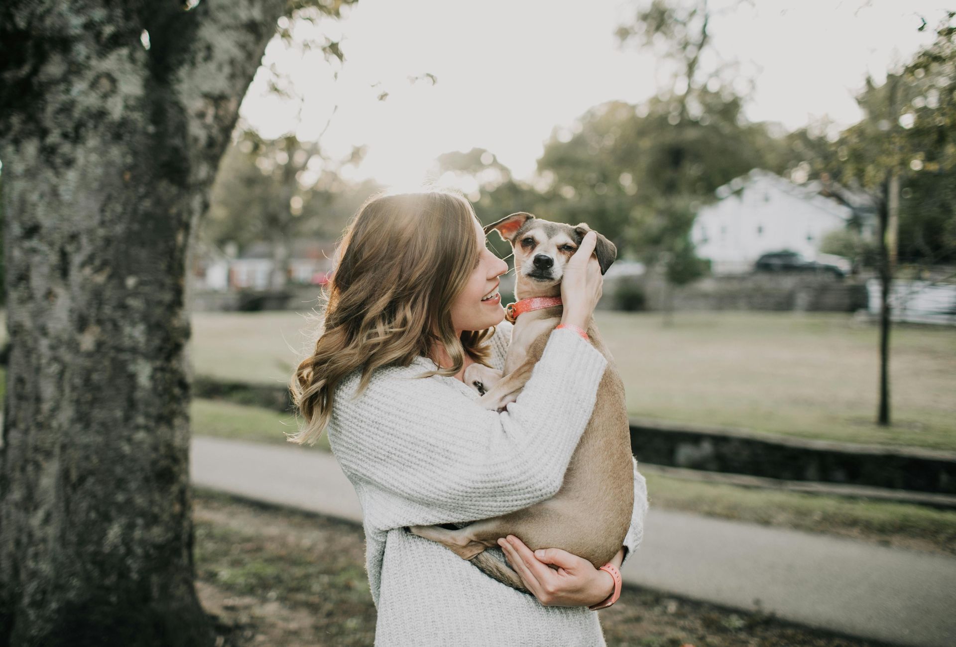 Woman holding a dog in a park; sunny day.