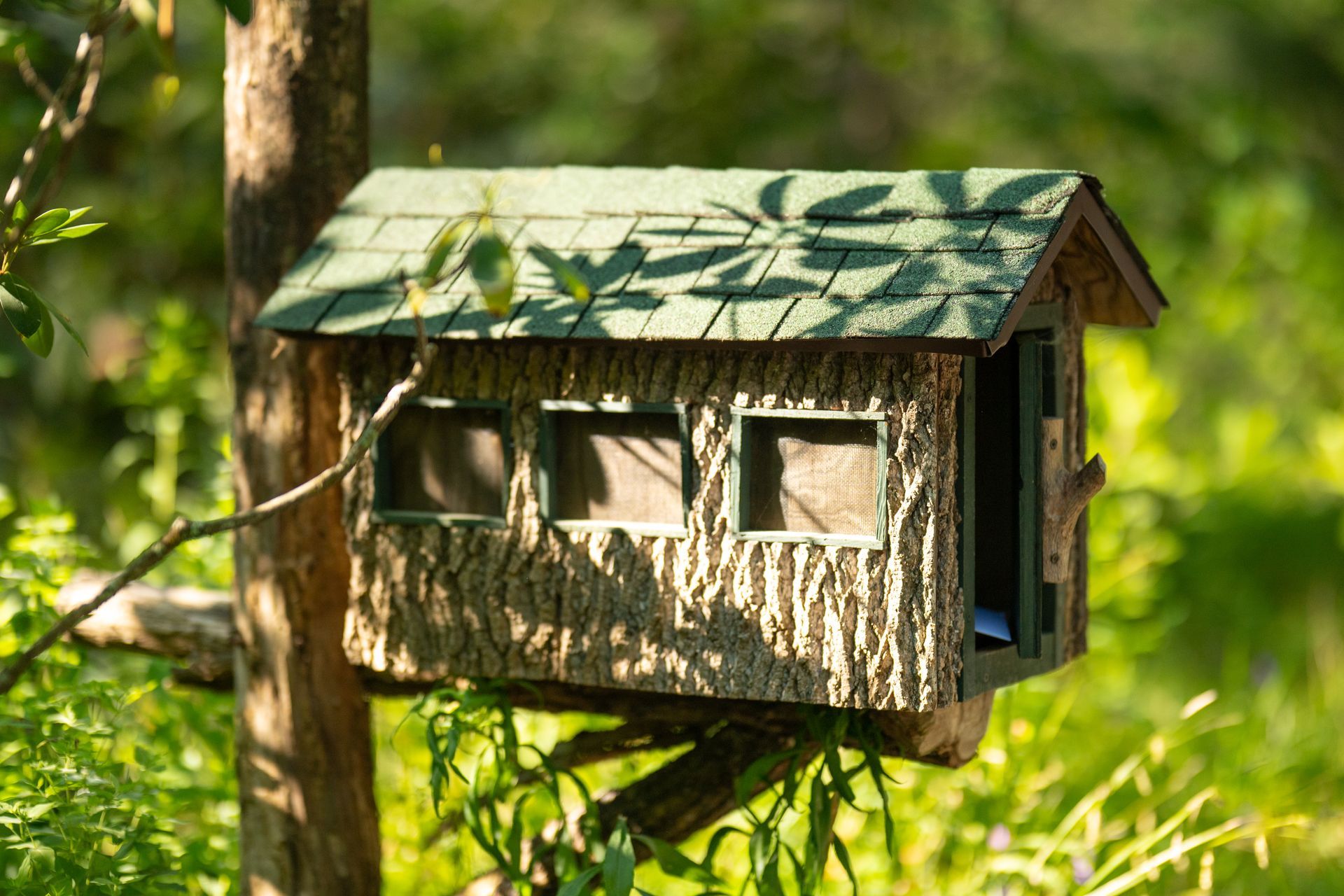 A rustic birdhouse with bark-textured walls and a green shingled roof, attached to a tree in a sunlit, leafy forest.