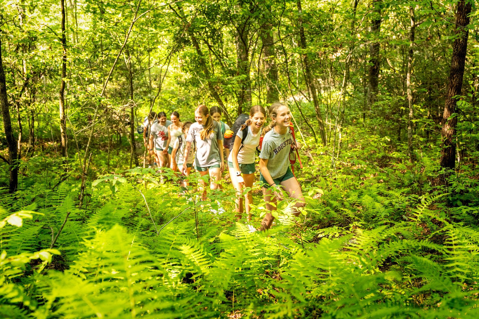 A group of people wearing backpacks hikes along a trail through a sunlit, lush green forest filled with ferns.