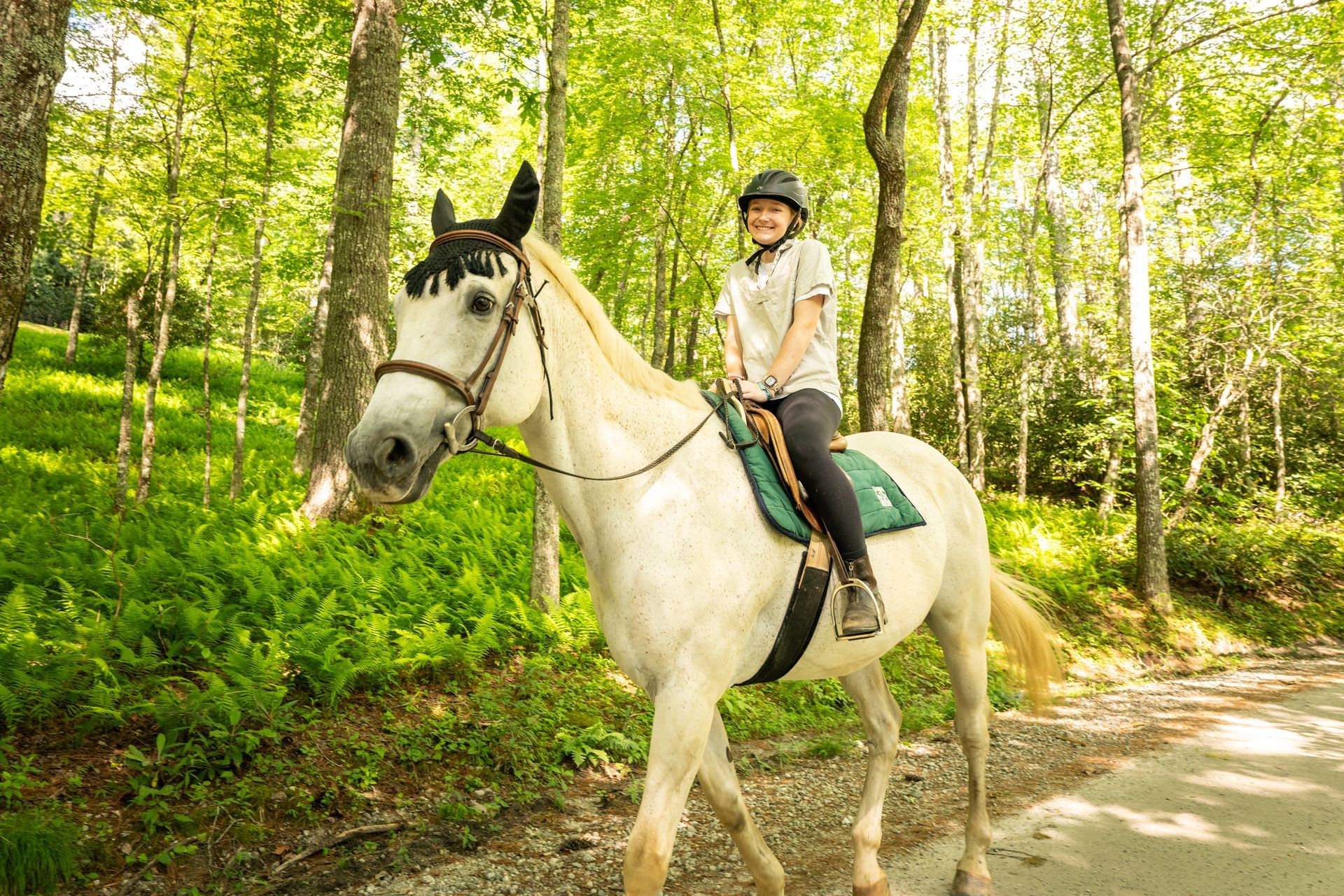 A person wearing a helmet riding a white horse along a sunny, wooded trail.