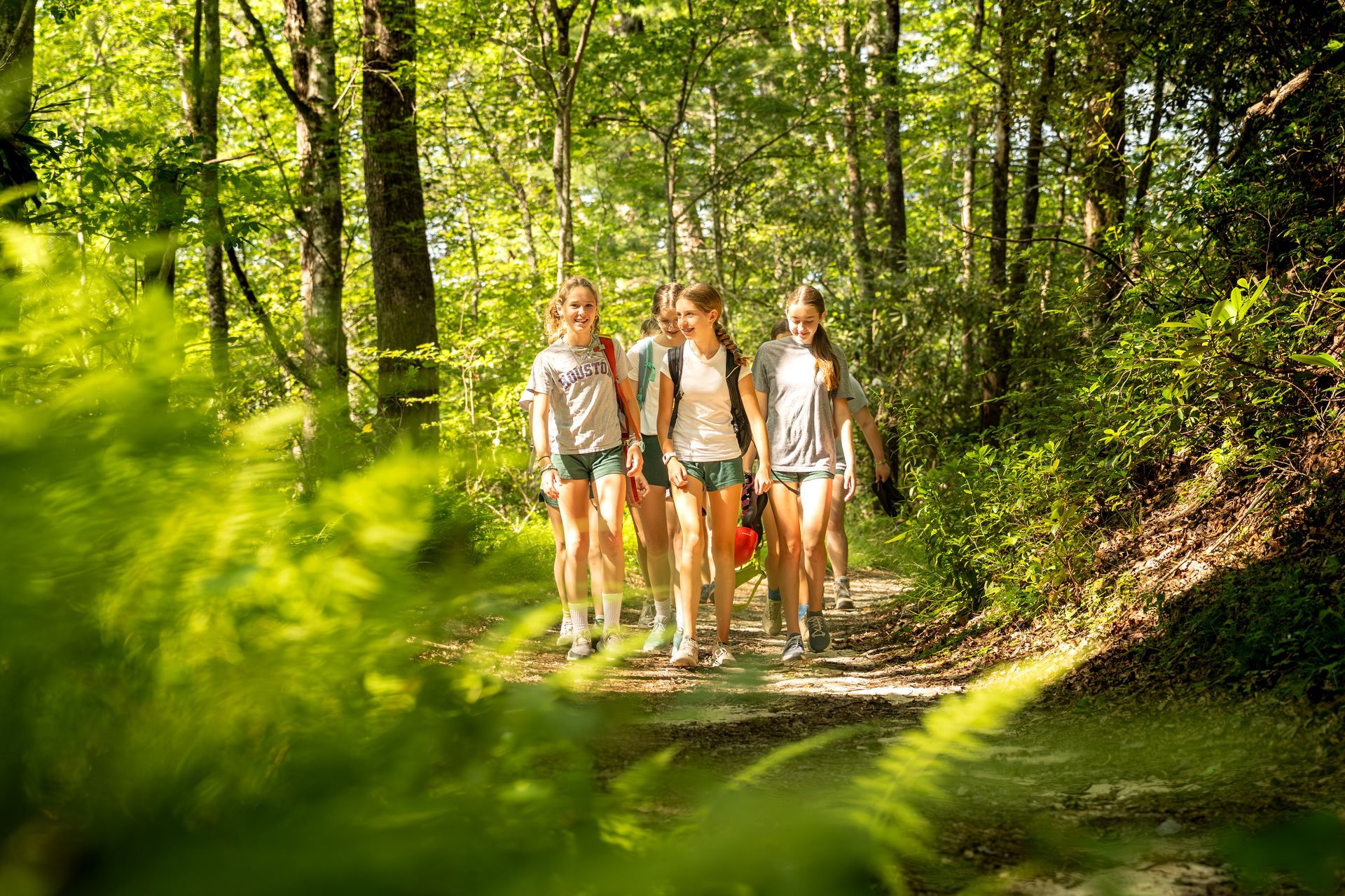 A group of people wearing hiking gear walk along a sunlit forest trail surrounded by lush trees and greenery.