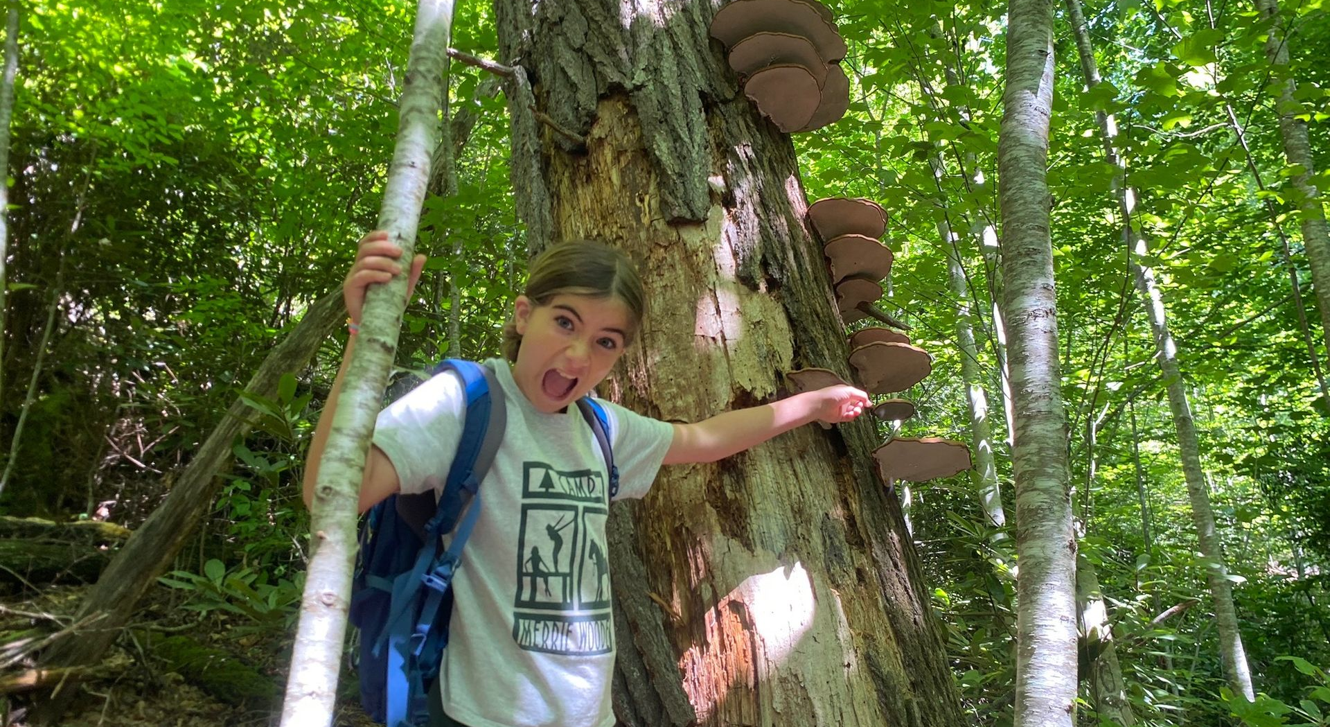 A child points enthusiastically at shelf mushrooms growing on a large tree trunk in a lush, green forest.