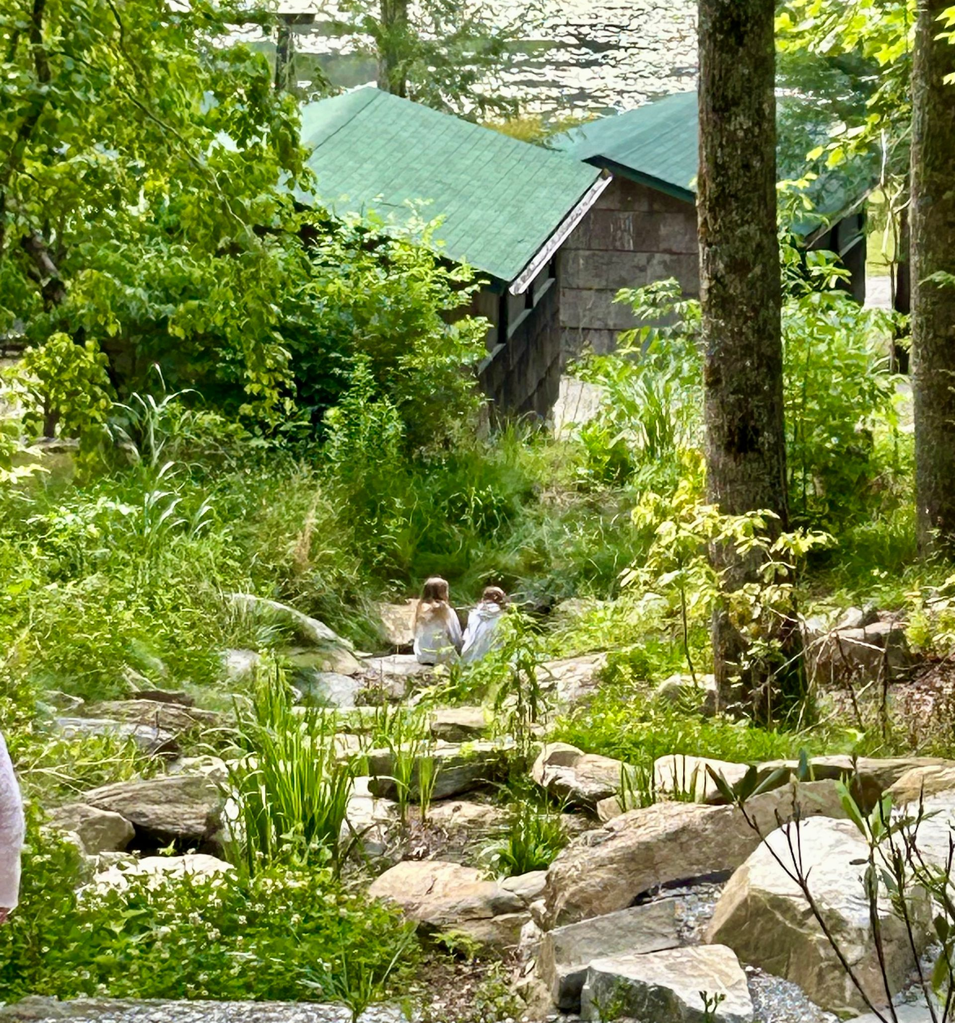 Two people sit near a rocky stream in a lush, green woodland, with a green-roofed building in the background.