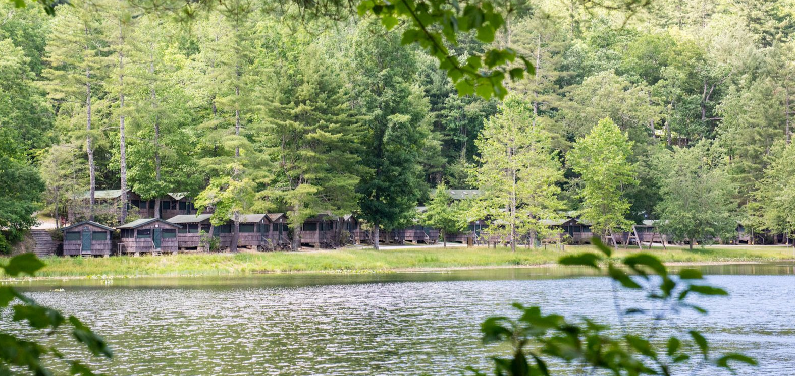 A row of rustic wooden cabins sits along a grassy lakeshore in front of a dense, lush forest.