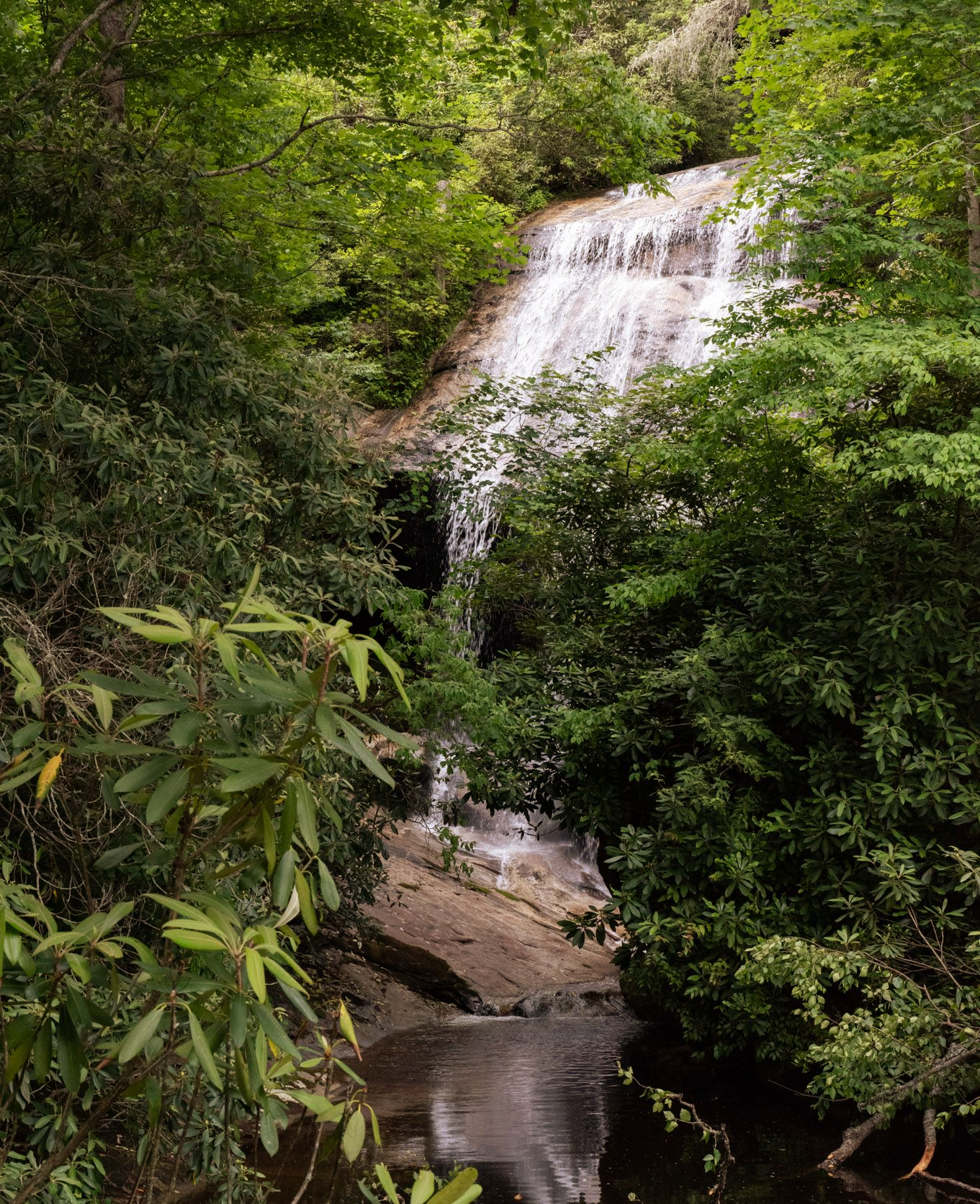 A waterfall cascades over a rocky slope surrounded by lush green foliage and trees in a shaded forest.