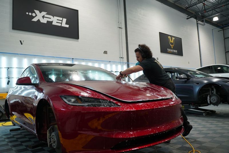 Paint protection film for cars