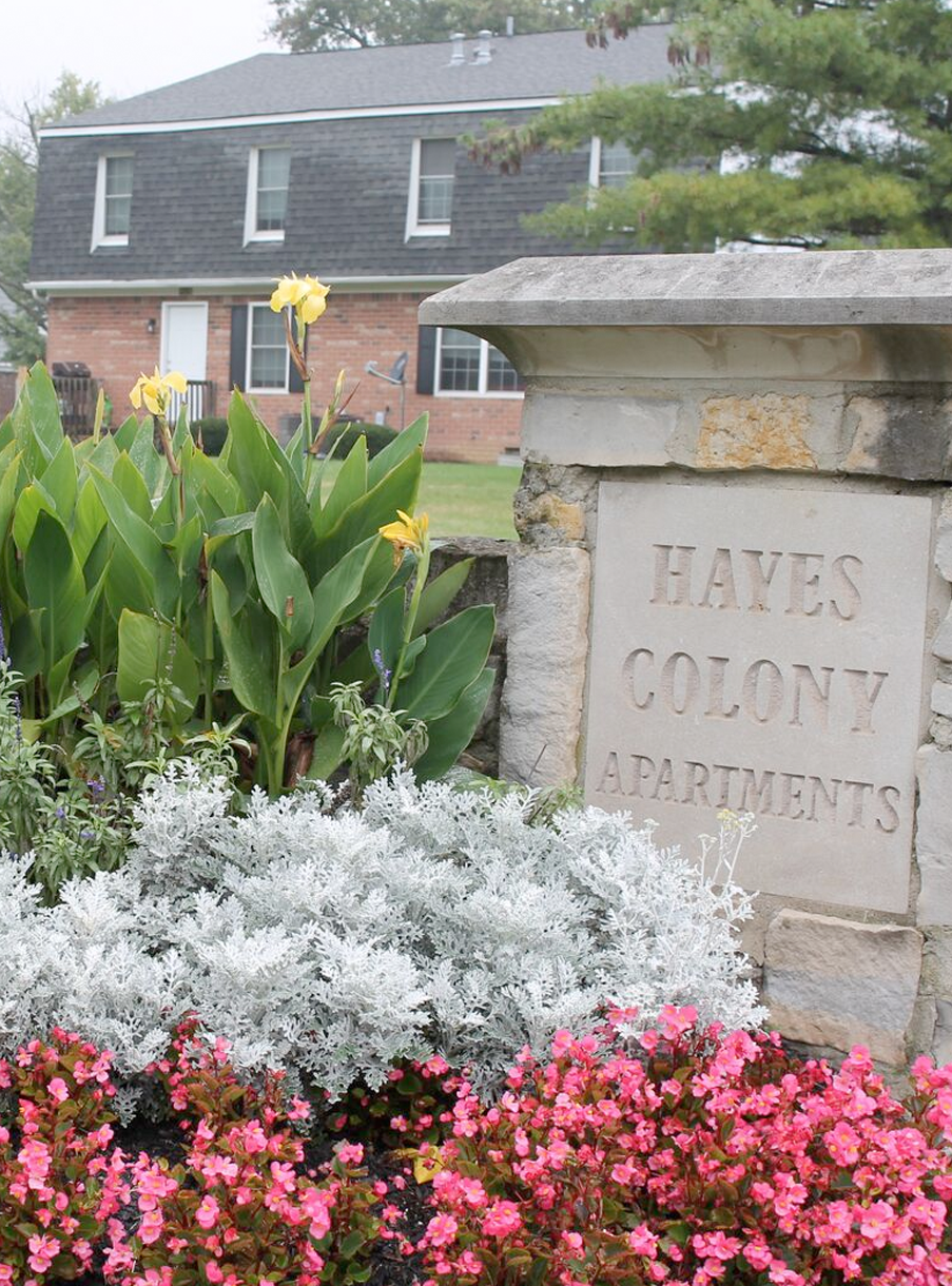 Home Hayes Colony Apartments