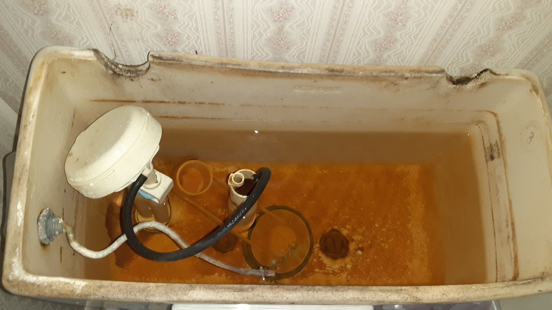 Dirty Toilet Tank
