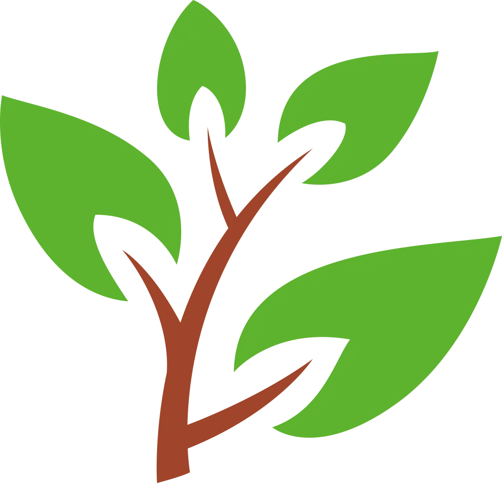 Green leaves sprouting from a brown branch.