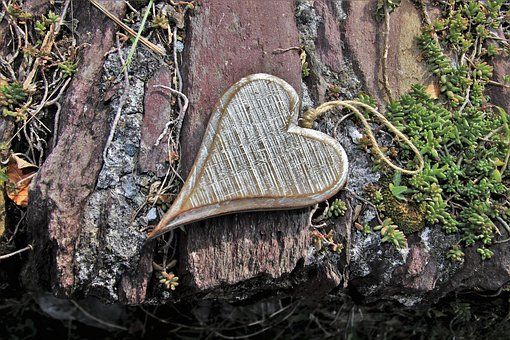 Un ornement en forme de cœur est posé sur un tronc d'arbre.