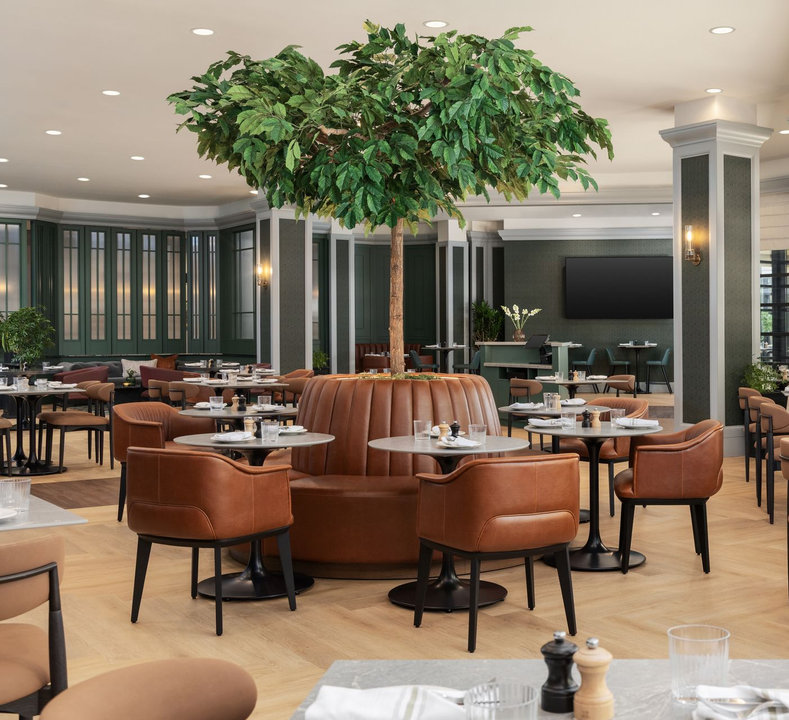 Bright, modern hotel lounge with orange chairs, green planter, and large windows looking onto trees