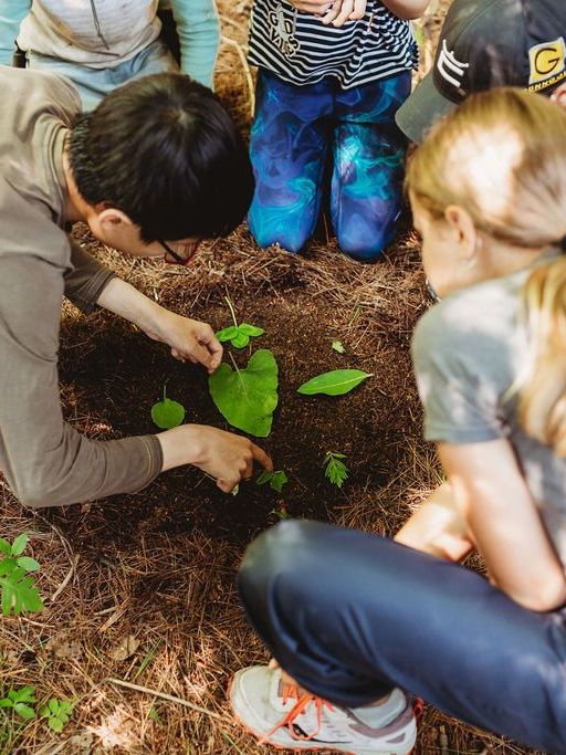 A group of people are kneeling down in the dirt looking at a plant.