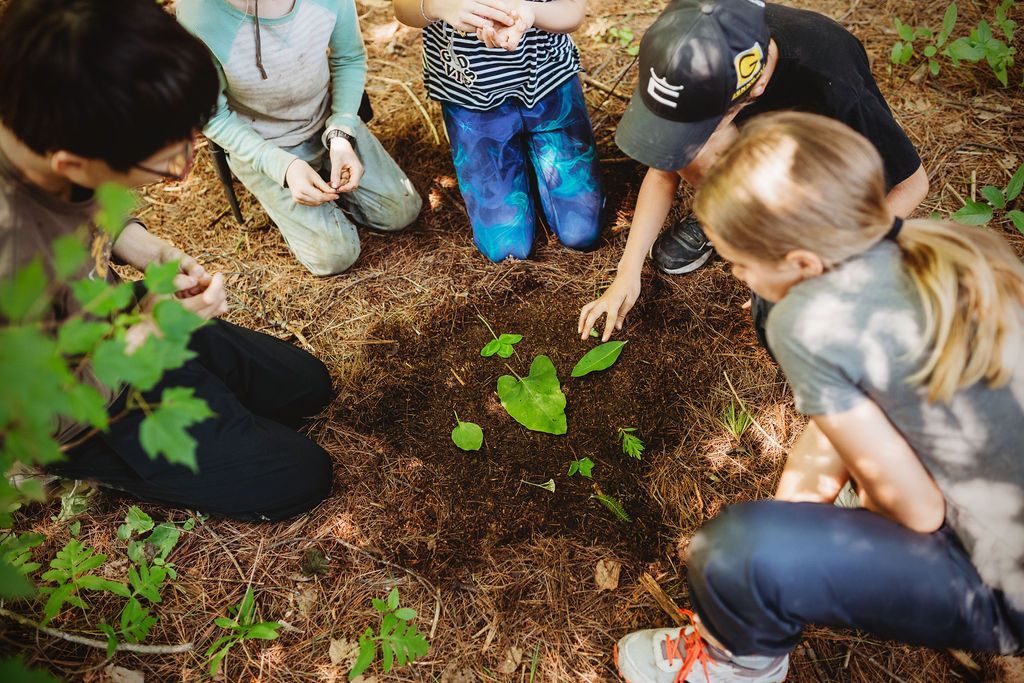 A group of children are looking at plants in the dirt.