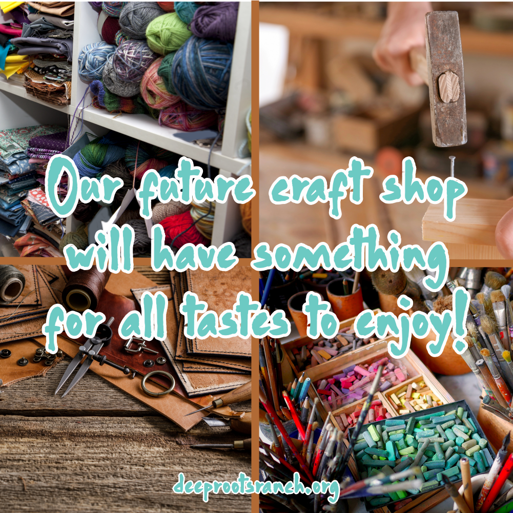 Deep Roots Ranch craft shop