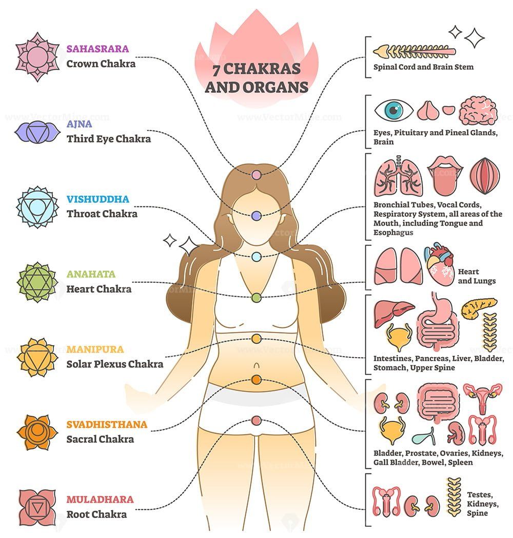 Diagram of a woman with chakras and corresponding organs labeled. The chakras have colors and geometric shapes.