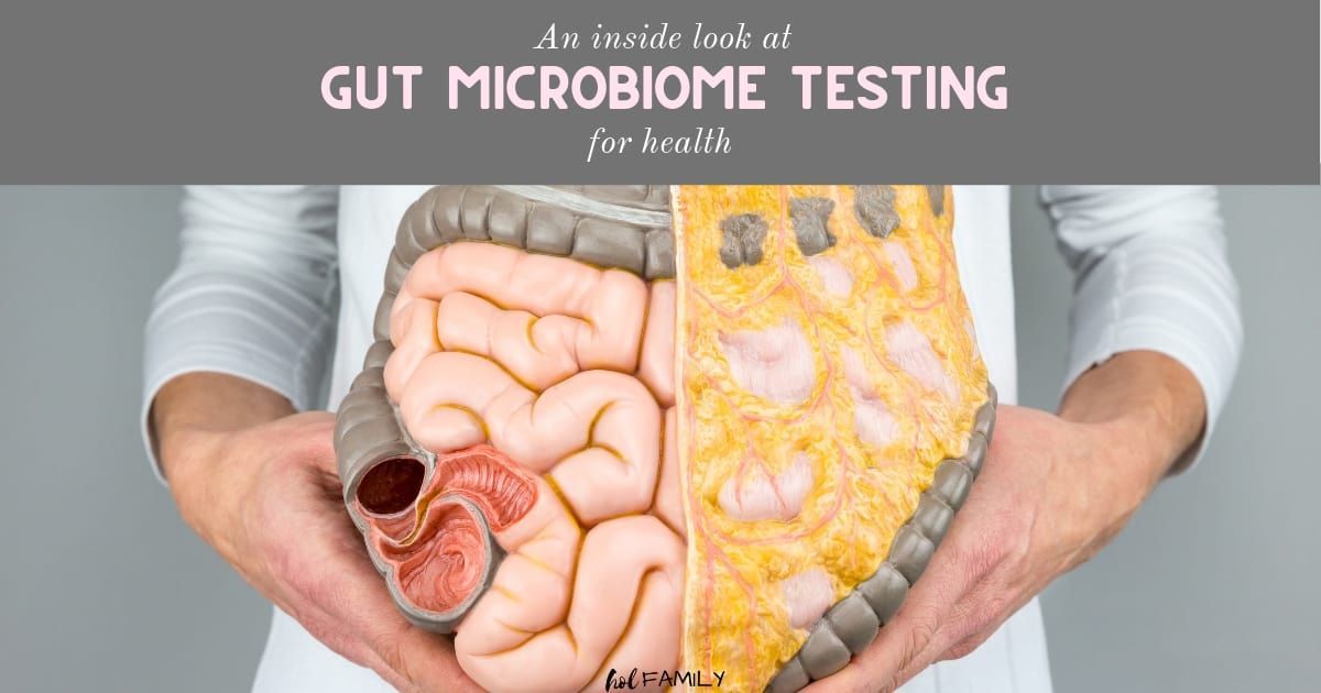 Person holding a model of the human gut, with text