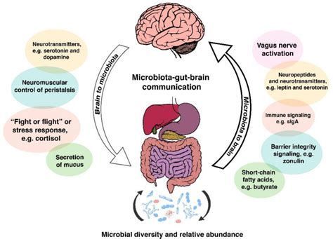 gut microbiome tested