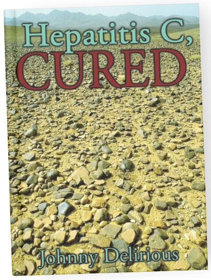 Book cover: 