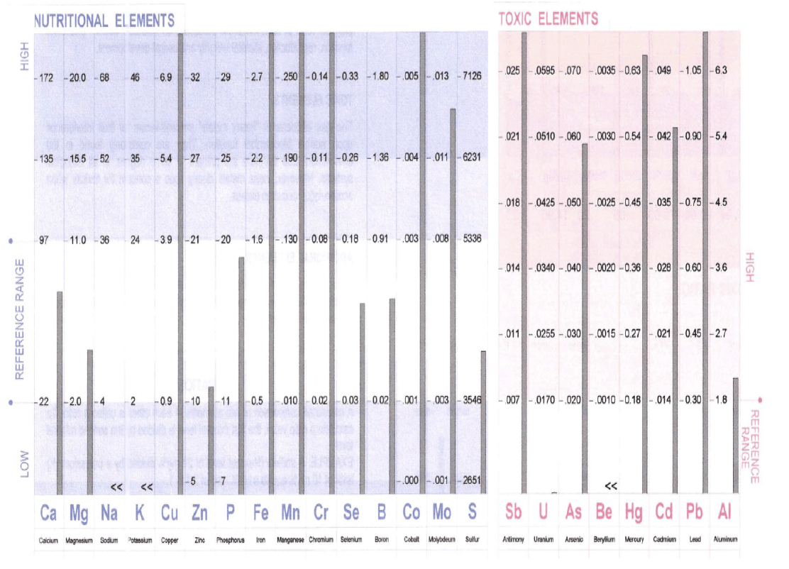 Bar graph comparing nutritional and toxic element levels.