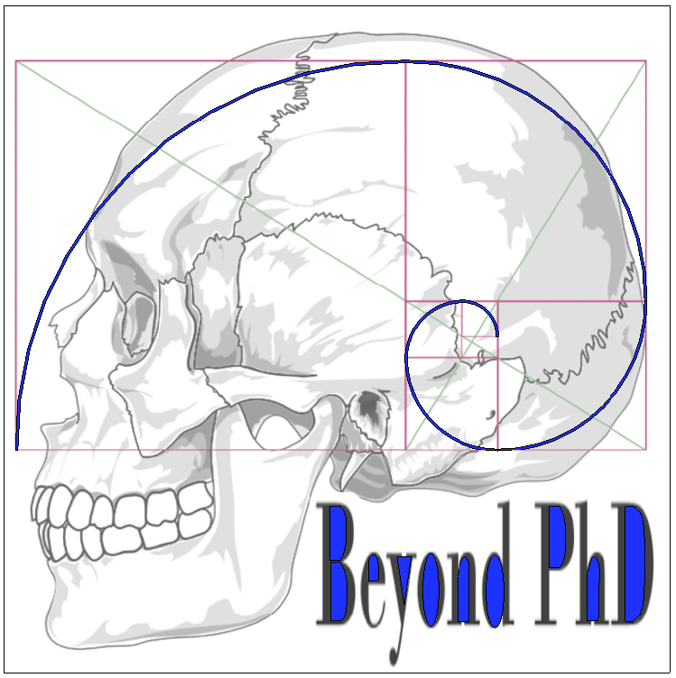 Skull with a blue spiral overlaid on golden ratio boxes;