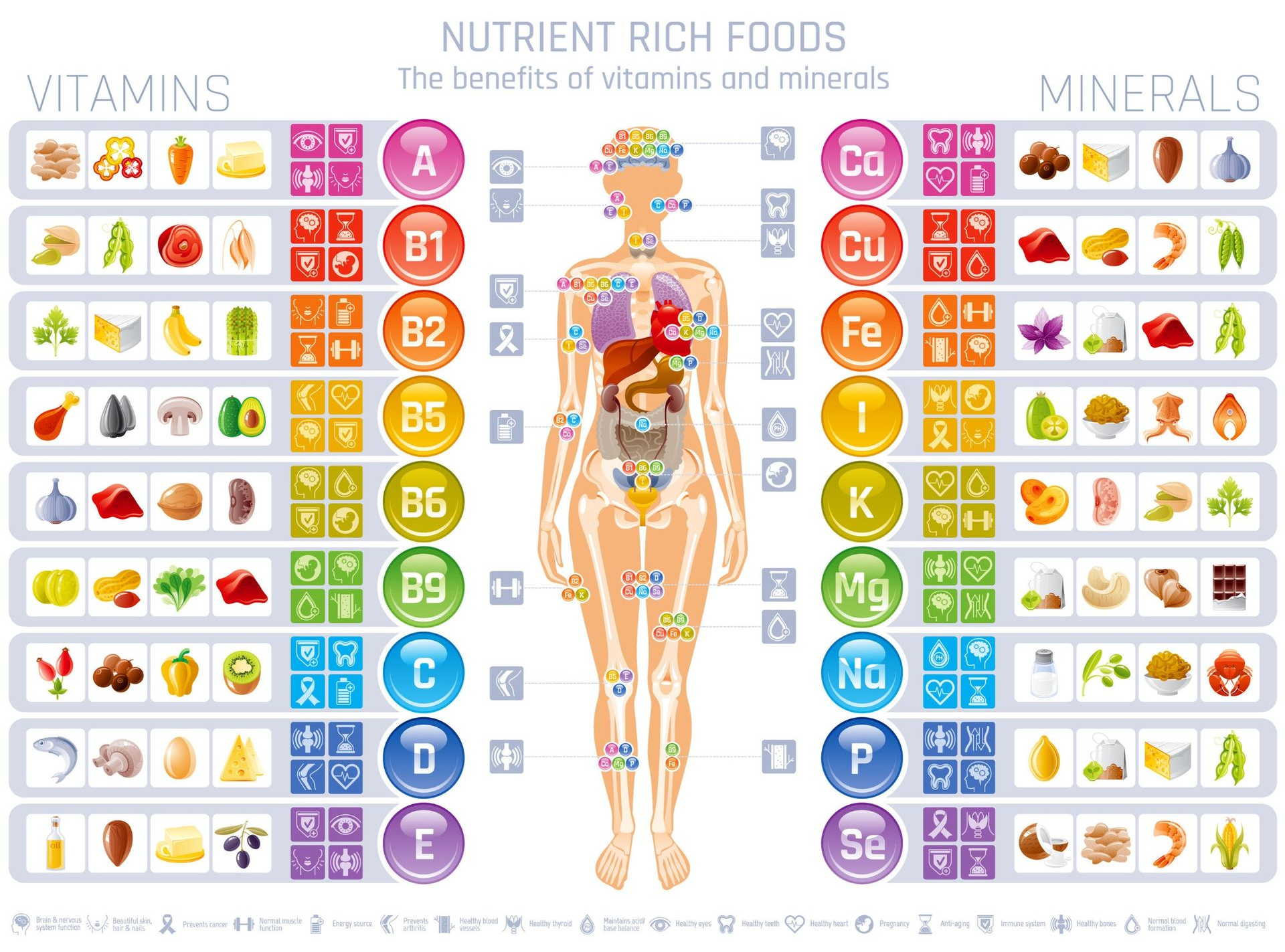 Infographic detailing vitamin and mineral benefits with food sources, and a human body diagram.