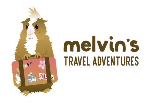 Melvin's Travel Adventures Logo