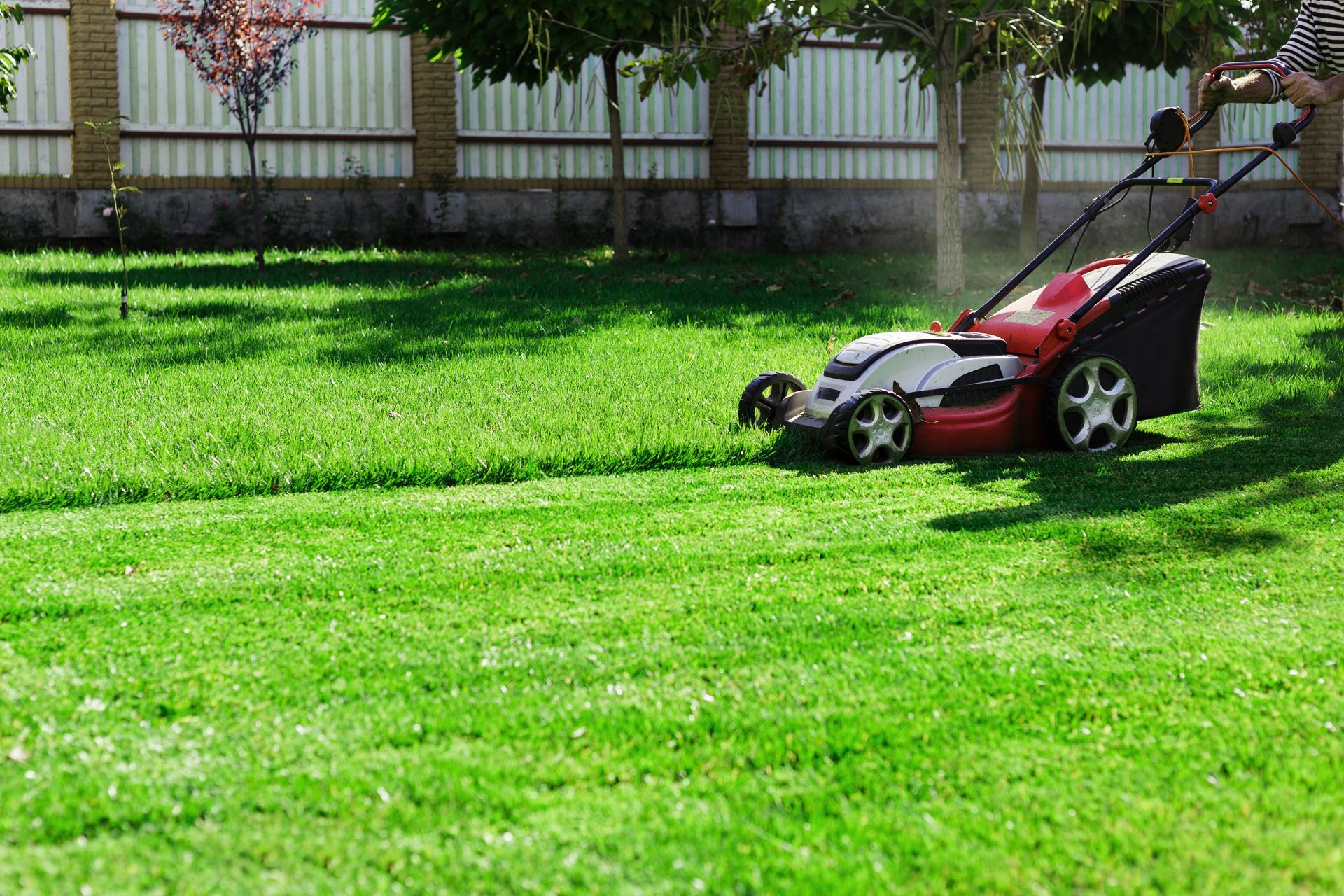 Red push mower cutting a lush green lawn.