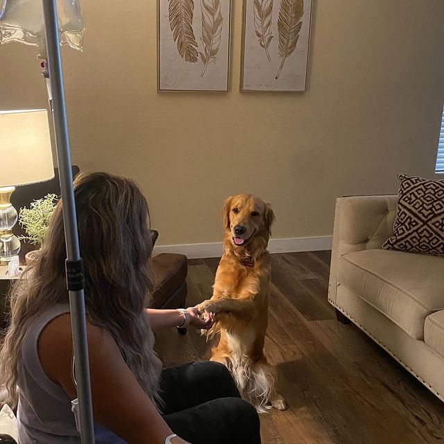 A woman is playing with a dog in a living room