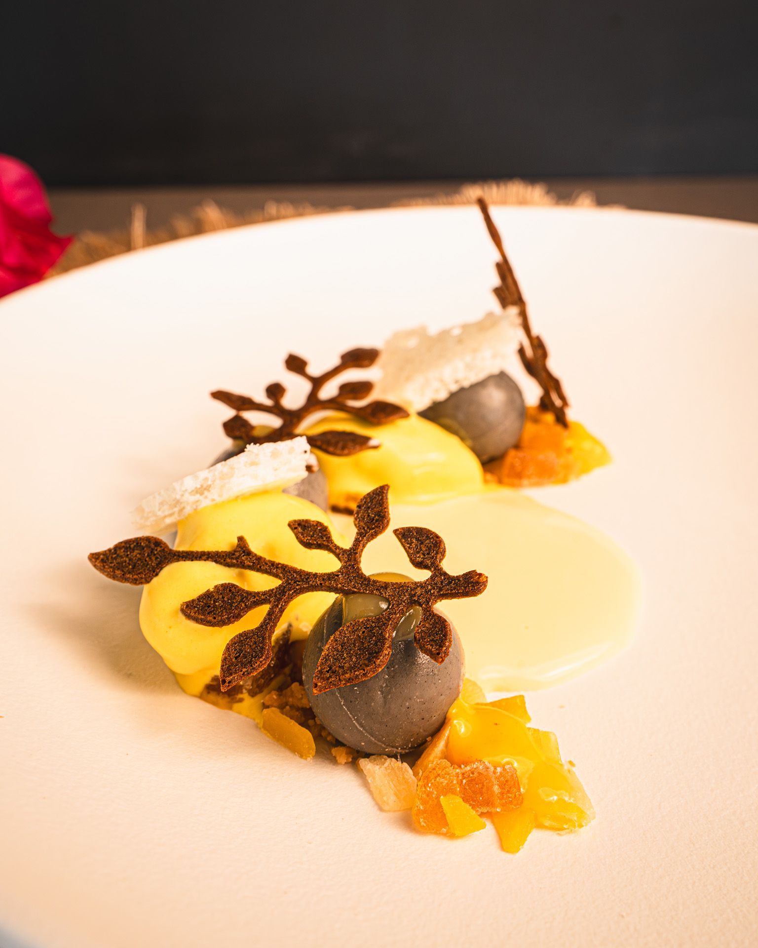 Elegant dessert on a white plate: yellow spheres, dark chocolate, fruit, white sauce, and crystalline sugar.