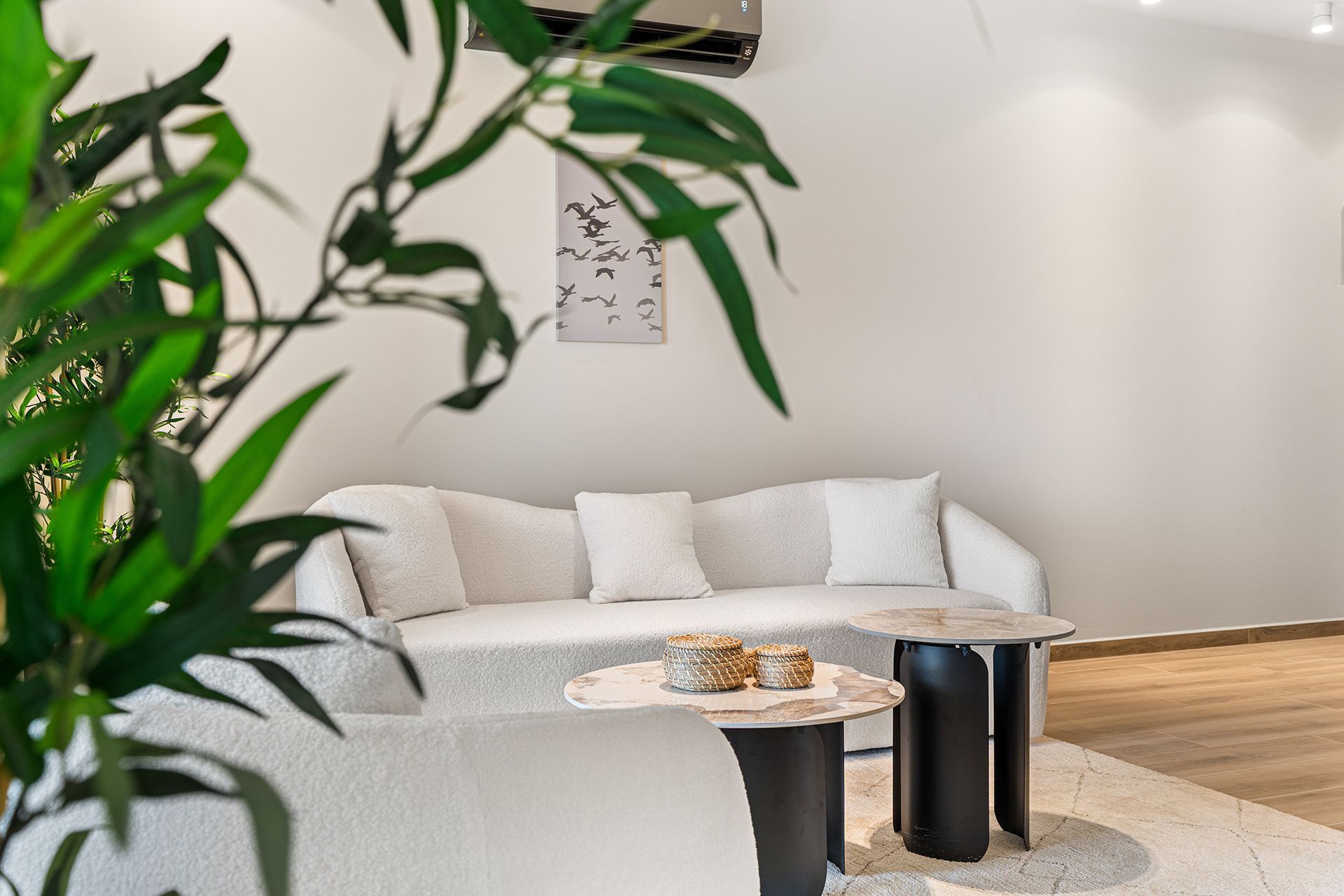 White sofa in a modern living room with coffee tables and plant.