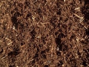 Triple Ground Mulch