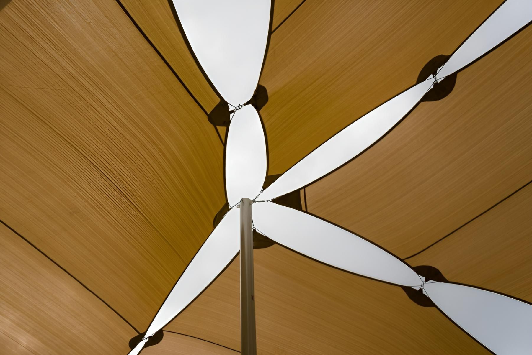 Looking up At the Ceiling of A Building — Jon Wilson Canvas & Shade in Coffs Harbour, NSW