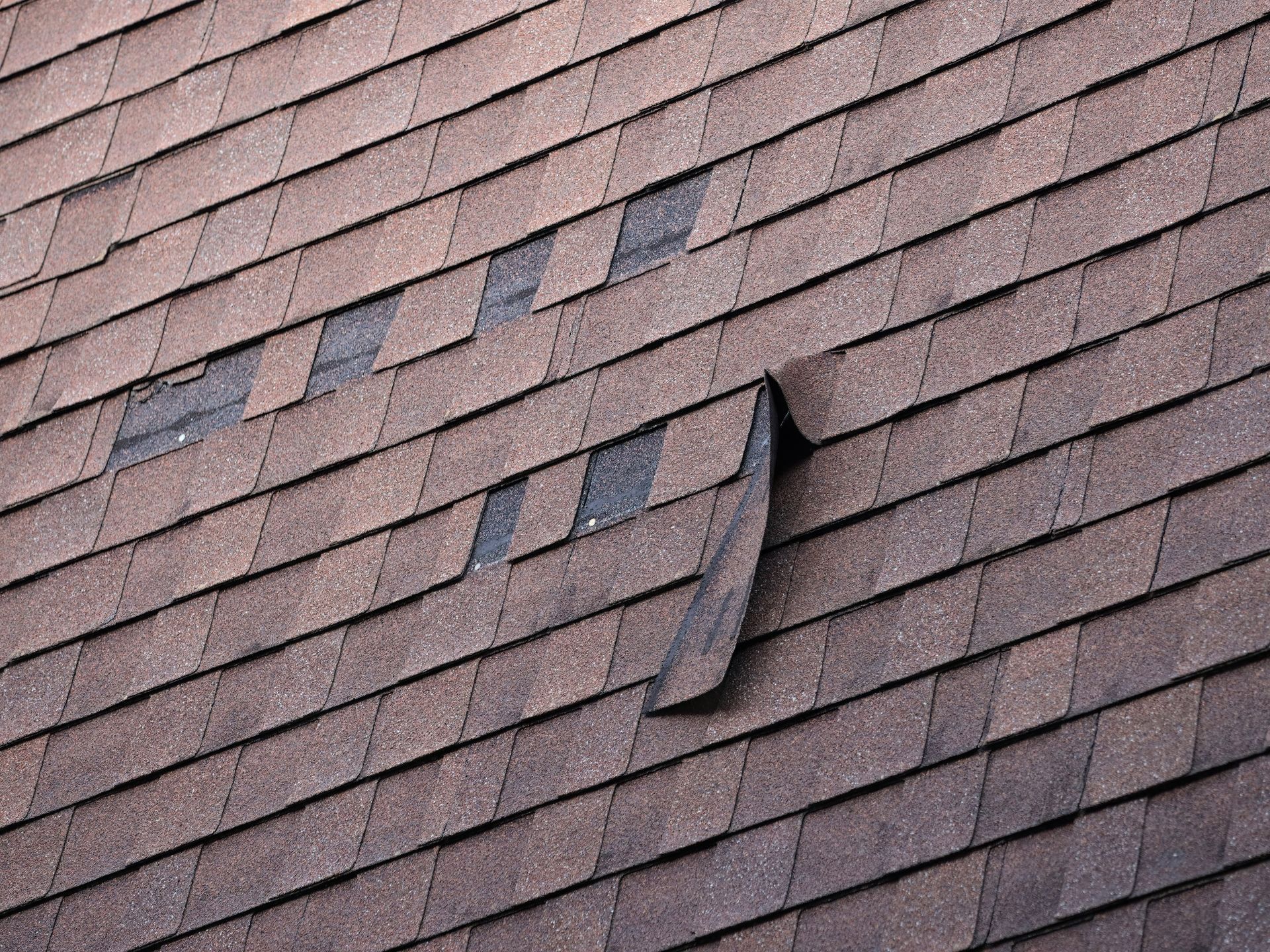 Residential missing shingle roof repair in Leesburg, Florida  