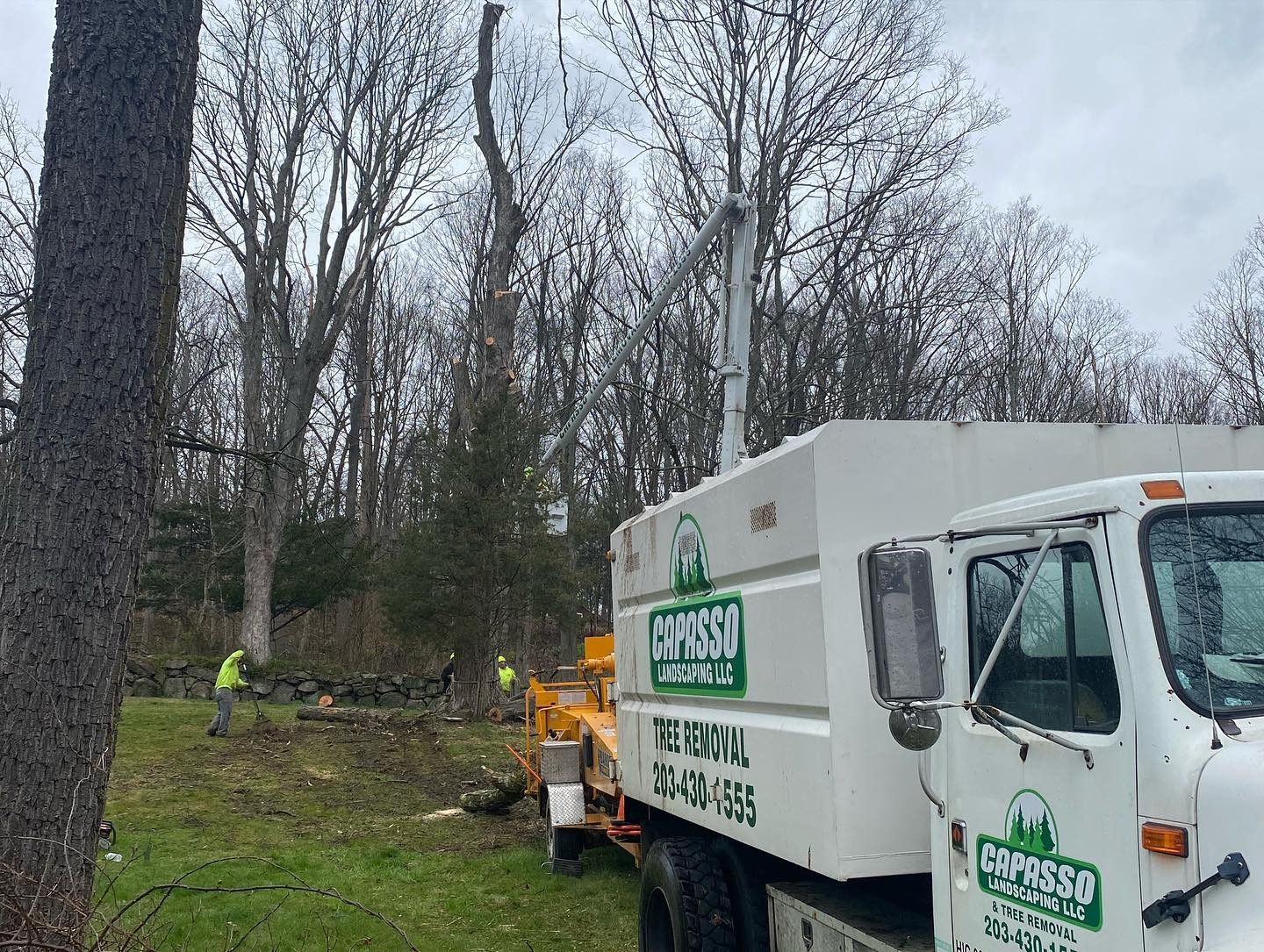 A white truck is parked in a field next to a tree.