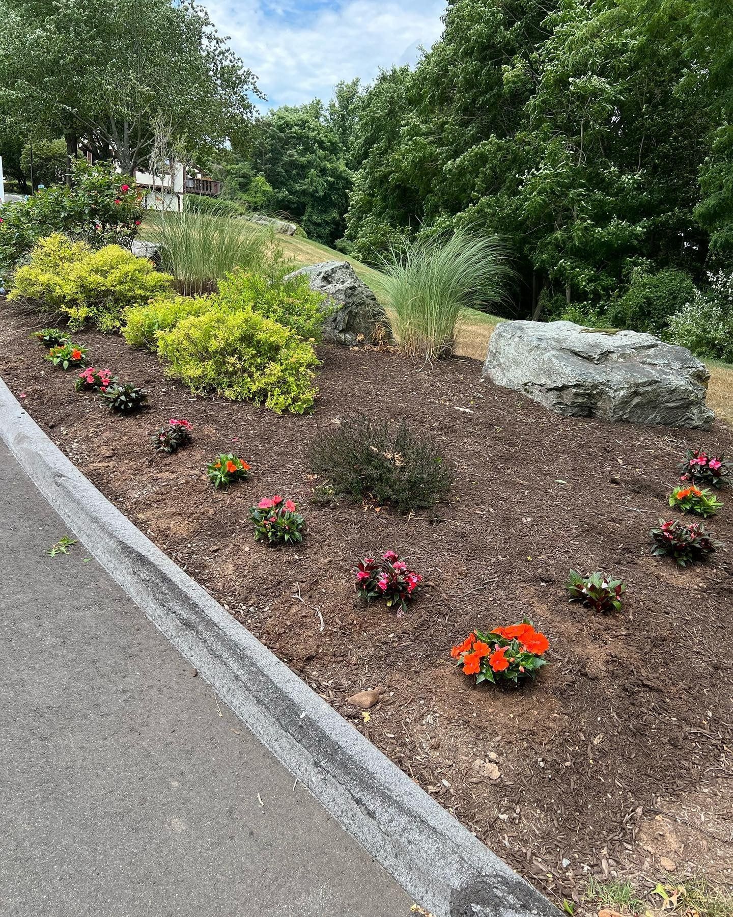 A sidewalk next to a row of bushes on the side of the road.
