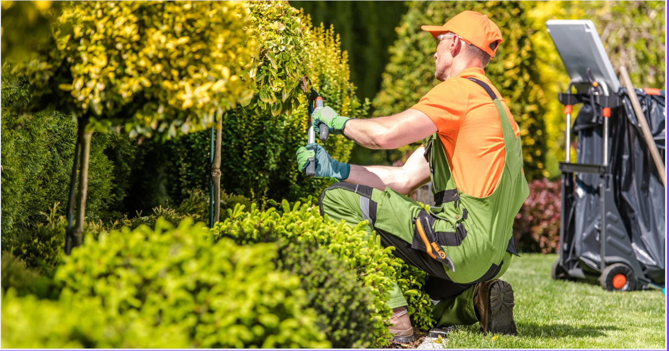 Why Landscaping Matters