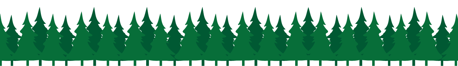 Row of green pine trees forming a forest border on white background
