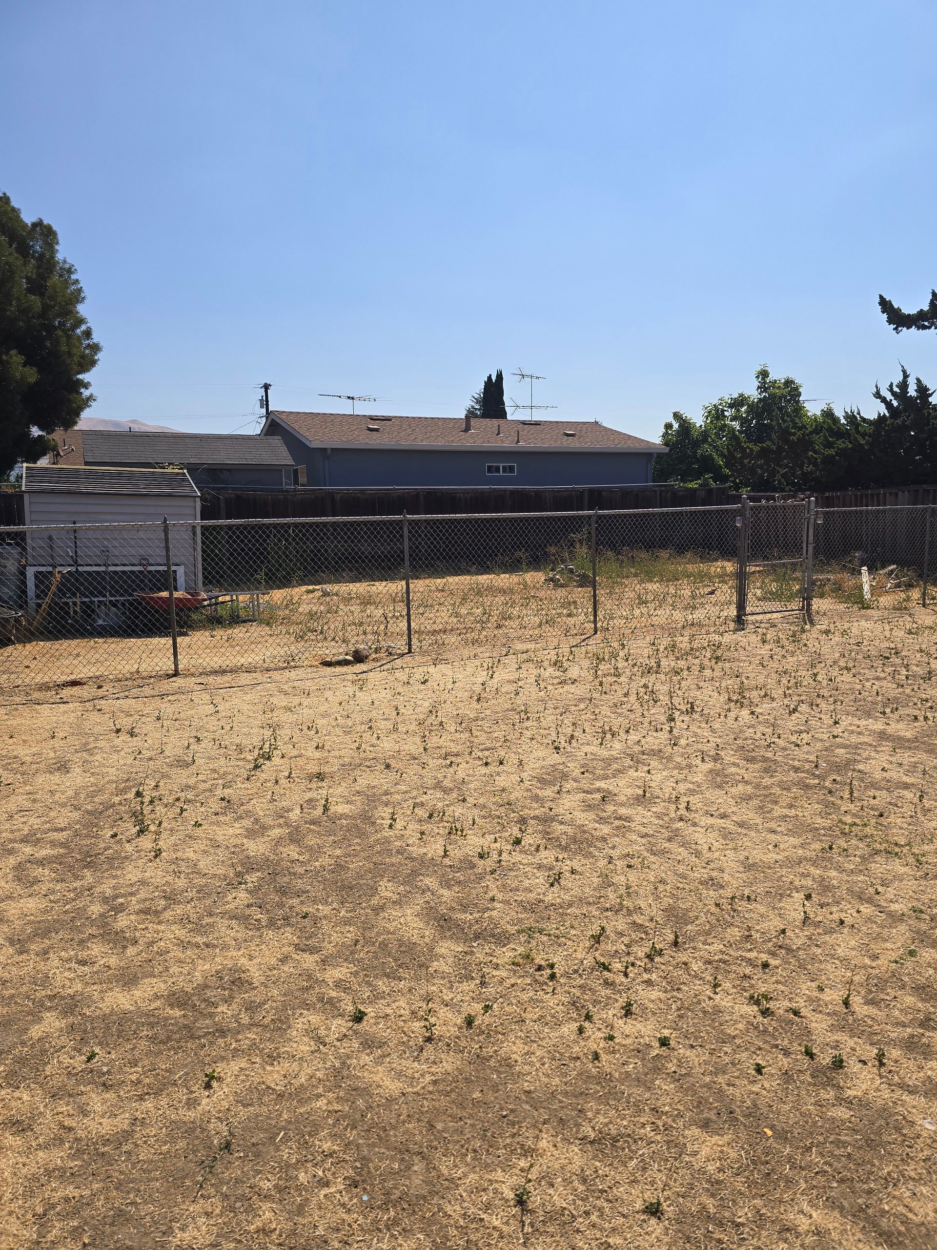 Dry grassy field with wire fencing and a low house under a clear blue sky.