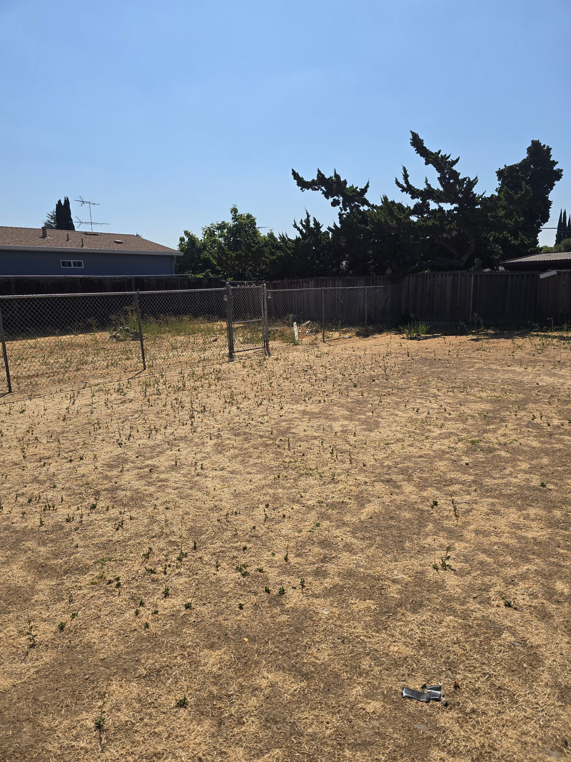 Dry grassy yard with a wire fence, trees, and rooftops under a clear blue sky.