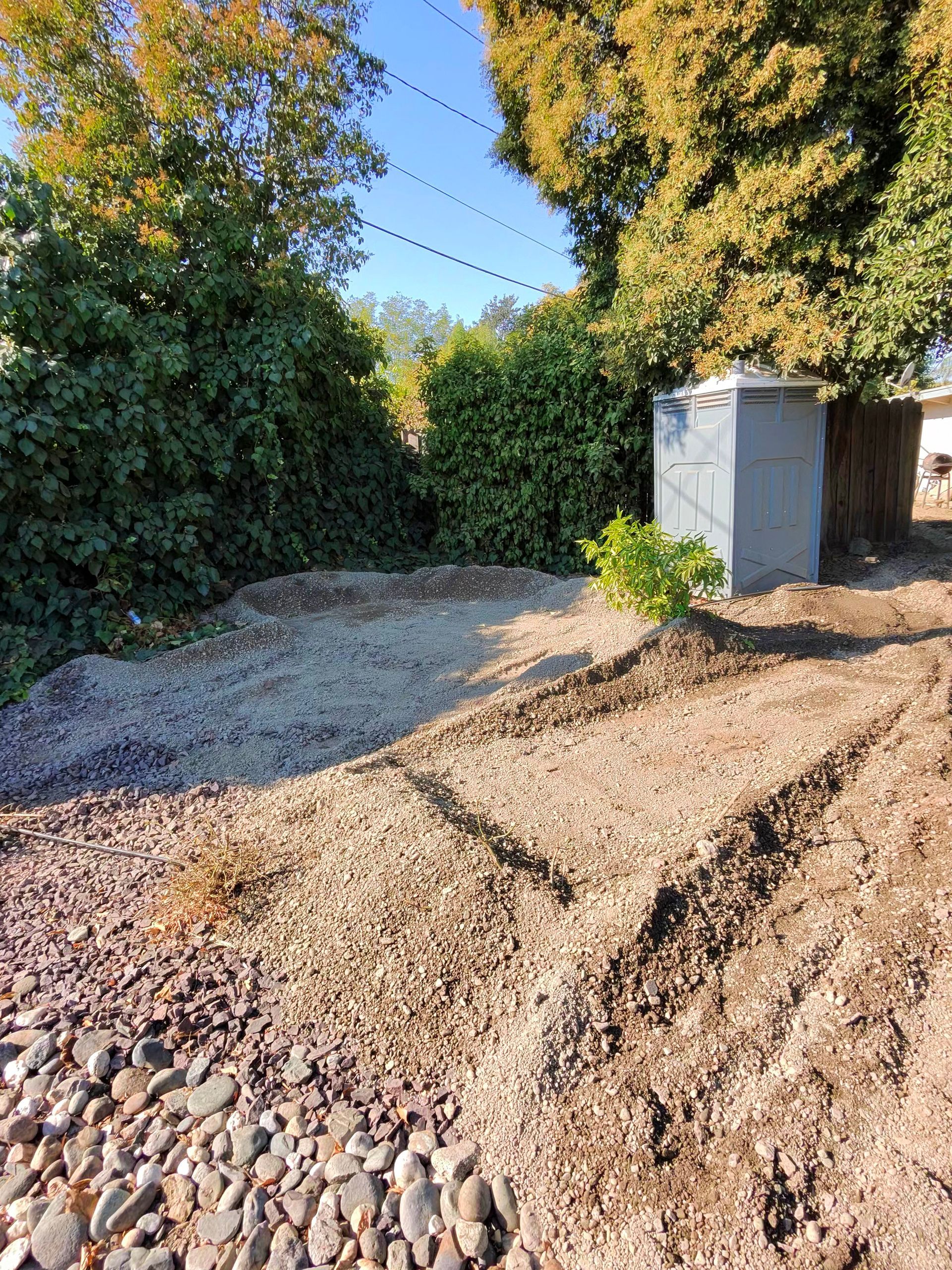 Gravel driveway beside dense hedges, with a small utility shed and morning sunlight.
