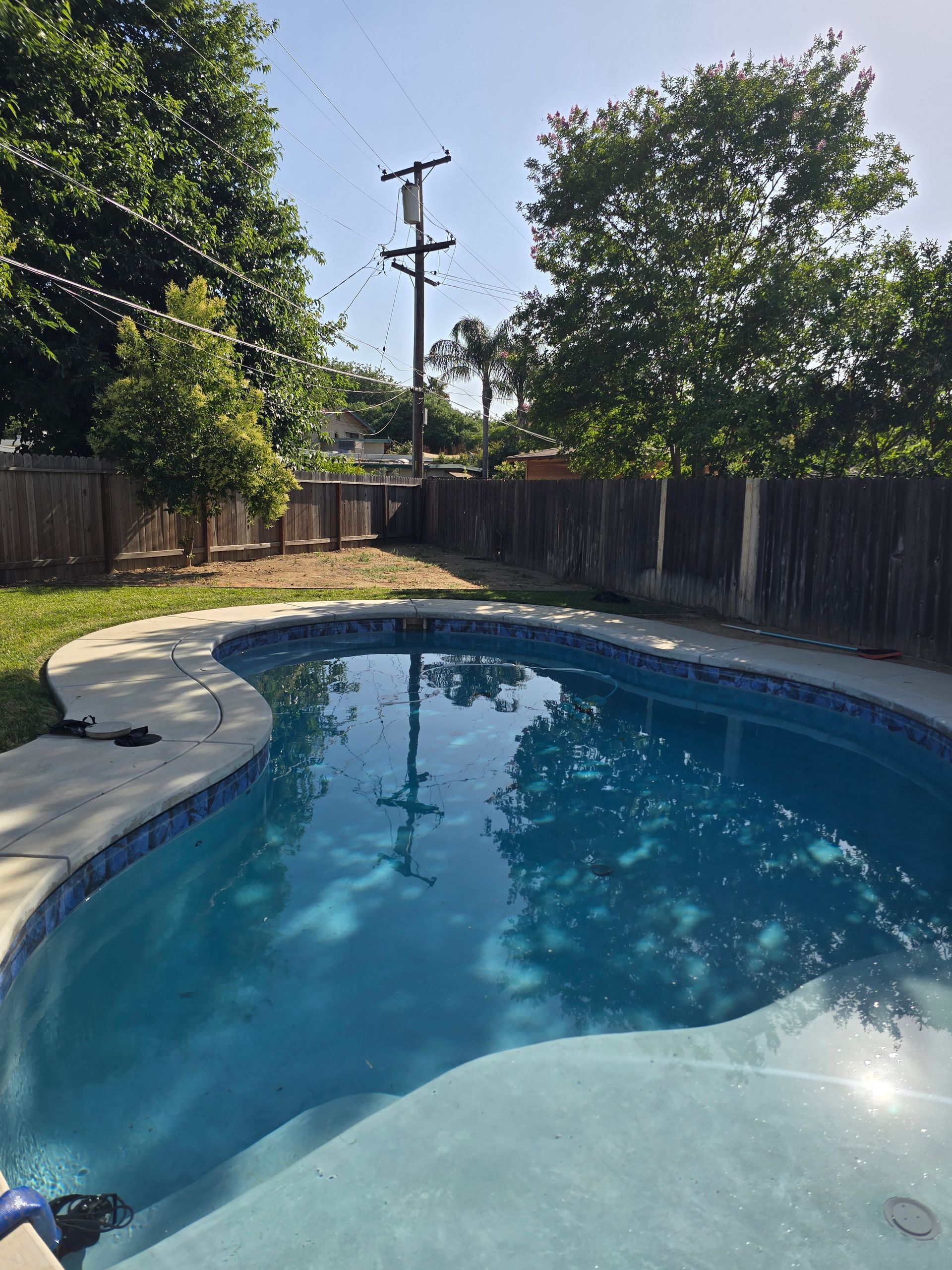 Curved backyard swimming pool with blue water, surrounded by trees and a wooden fence, reflecting the sky.