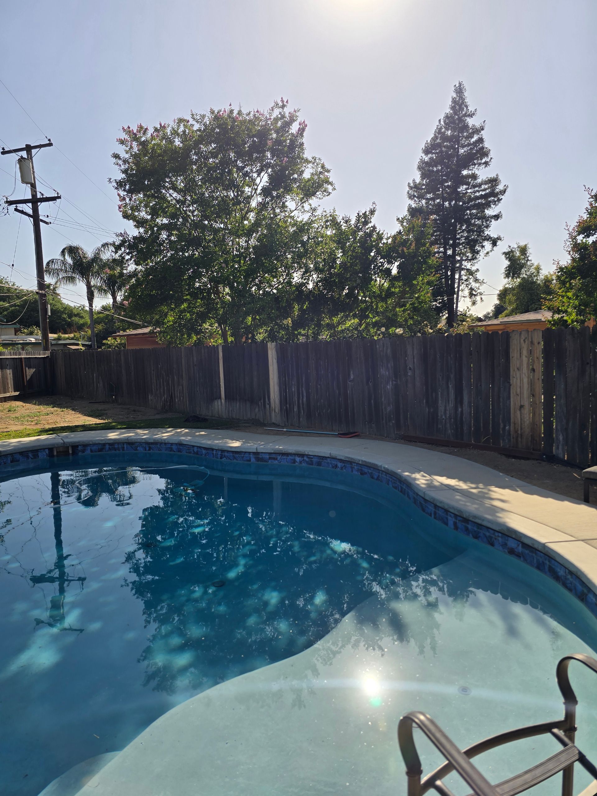 Backyard swimming pool with a wooden fence, trees, and bright sunlight reflecting on the water.