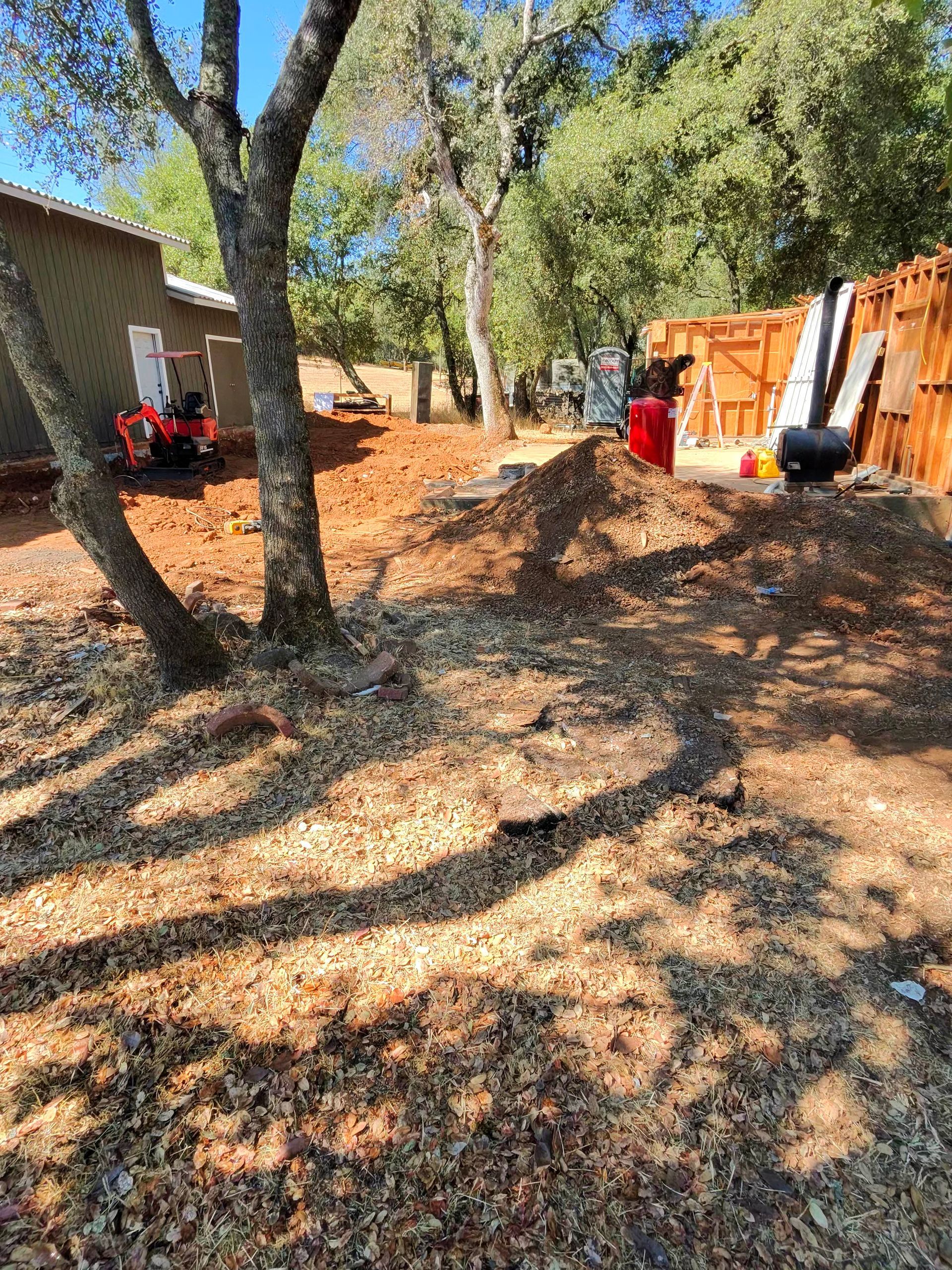 Sunlit backyard with trees, a wooden fence, and scattered leaves, with red and black patio chairs near a house.
