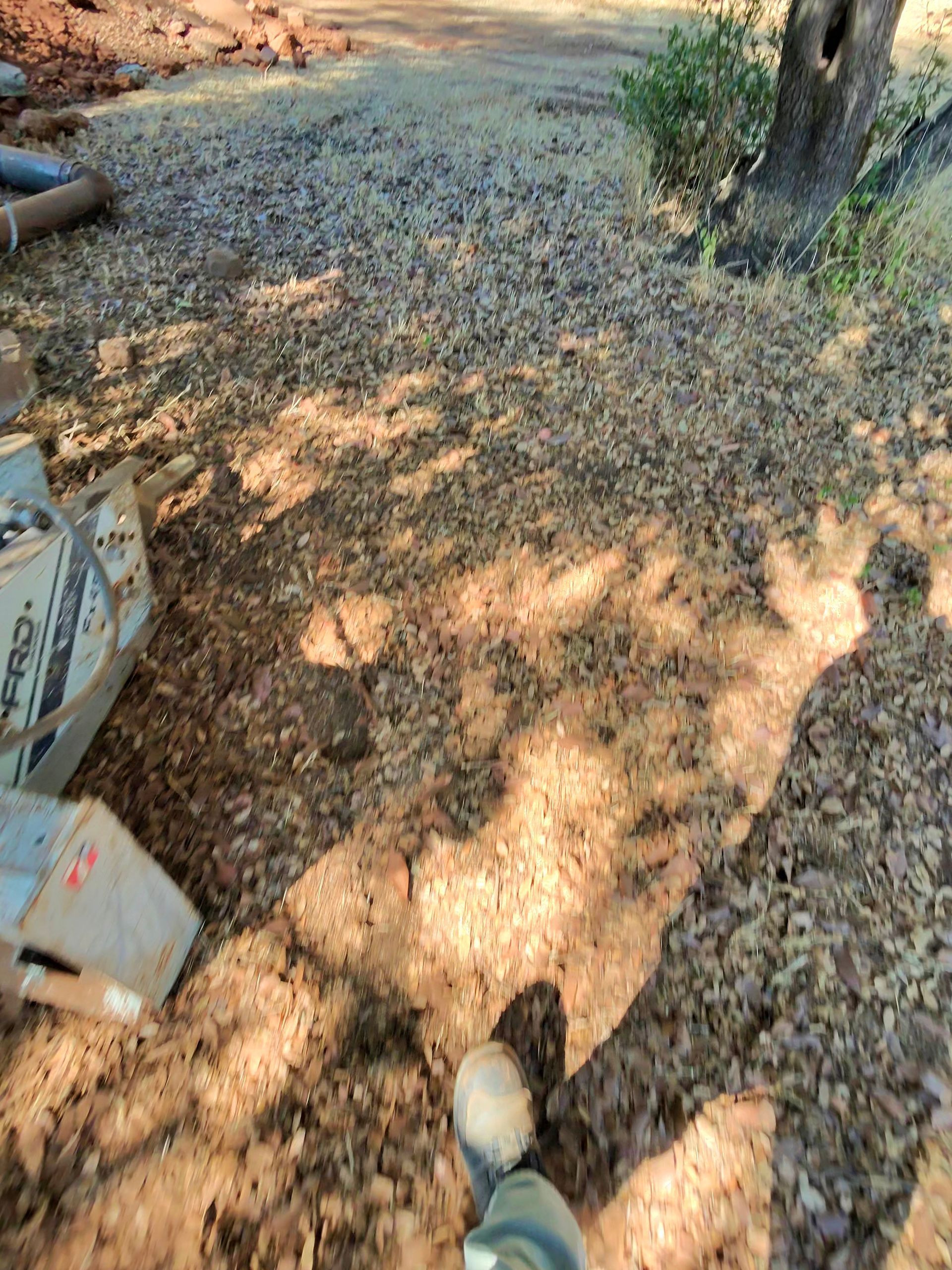 Garden path with gravel, a tree trunk, and a person’s shoes at the bottom edge in dappled sunlight