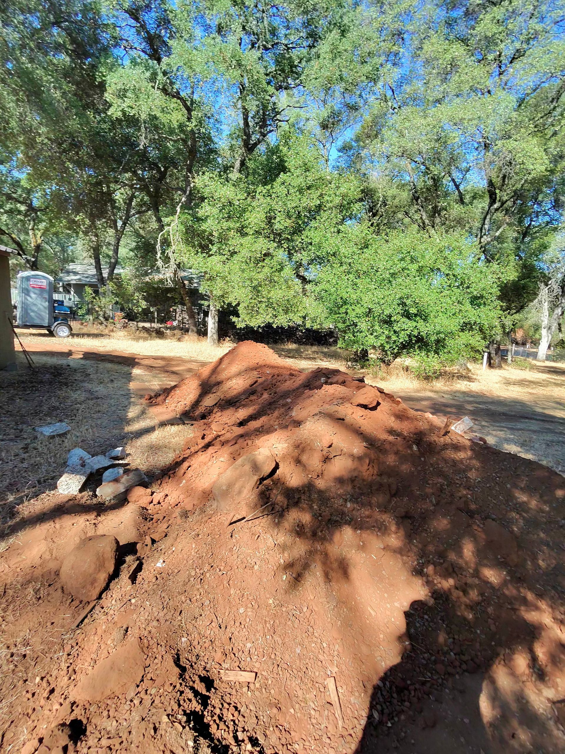 Pile of reddish dirt in a wooded yard under bright daylight