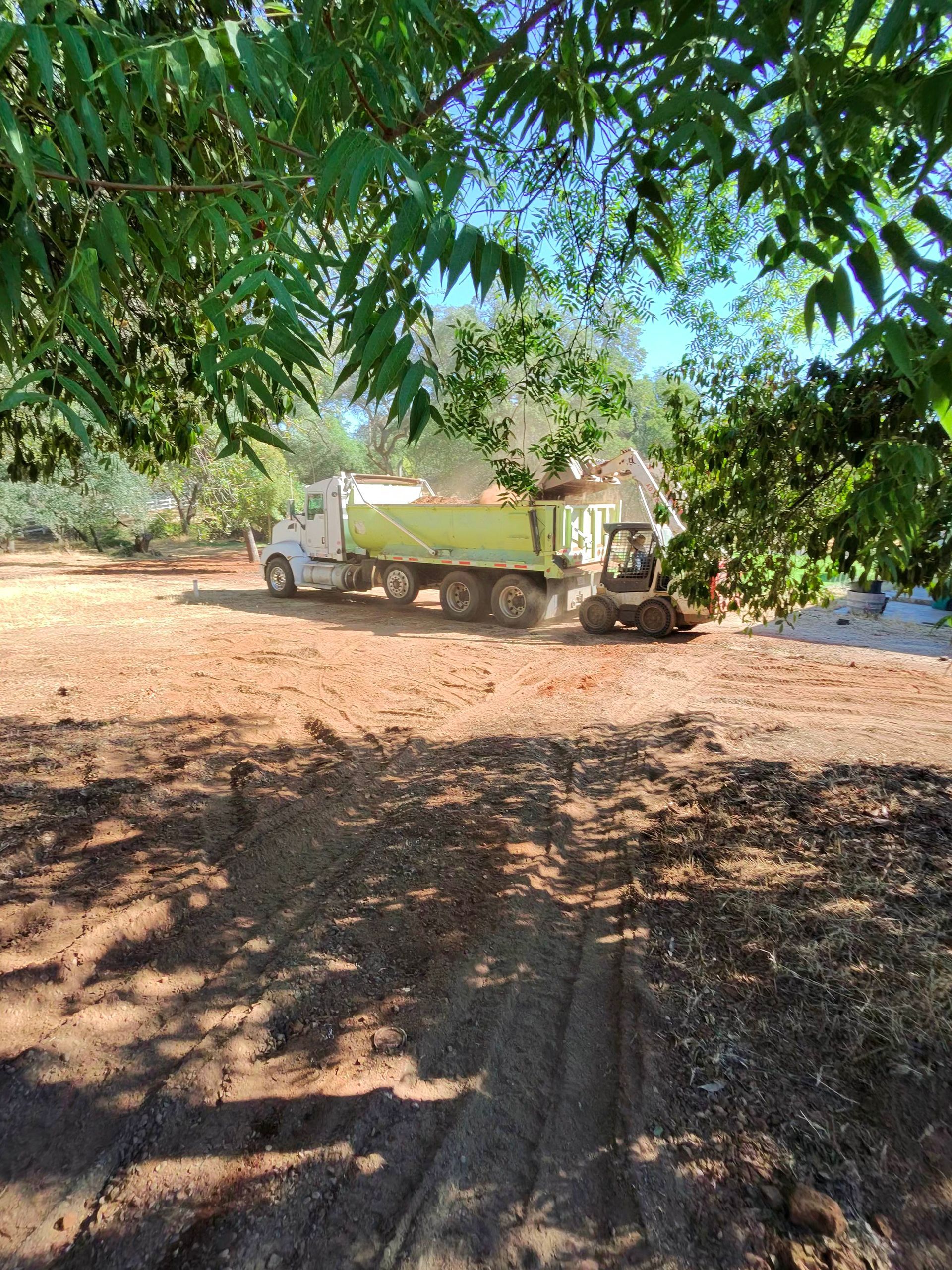 White truck parked on a dirt road under leafy trees, with a small structure and sunlit ground nearby.