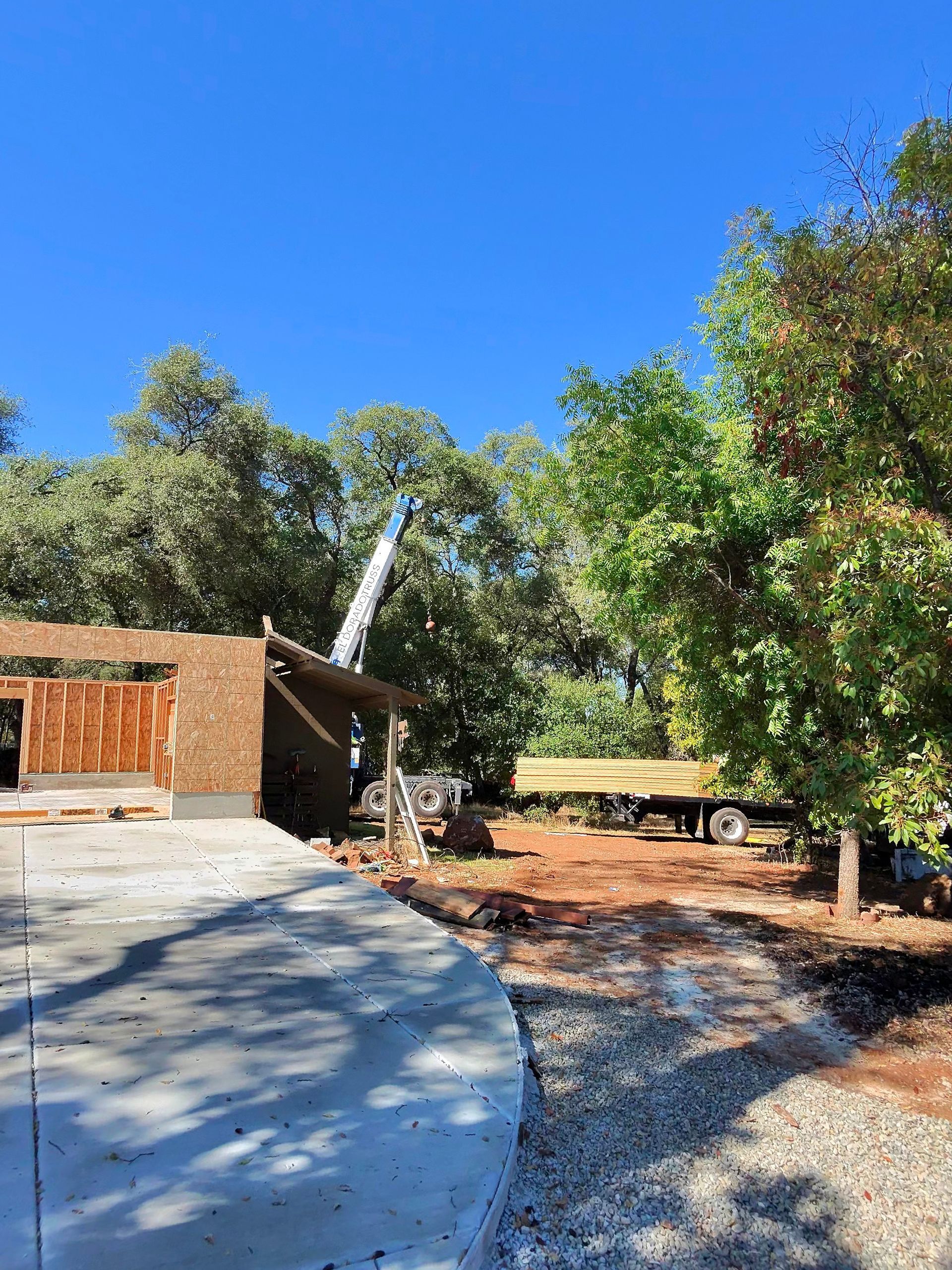 Curved concrete path beside a small shed, trees, and a wooden bench under a bright blue sky.