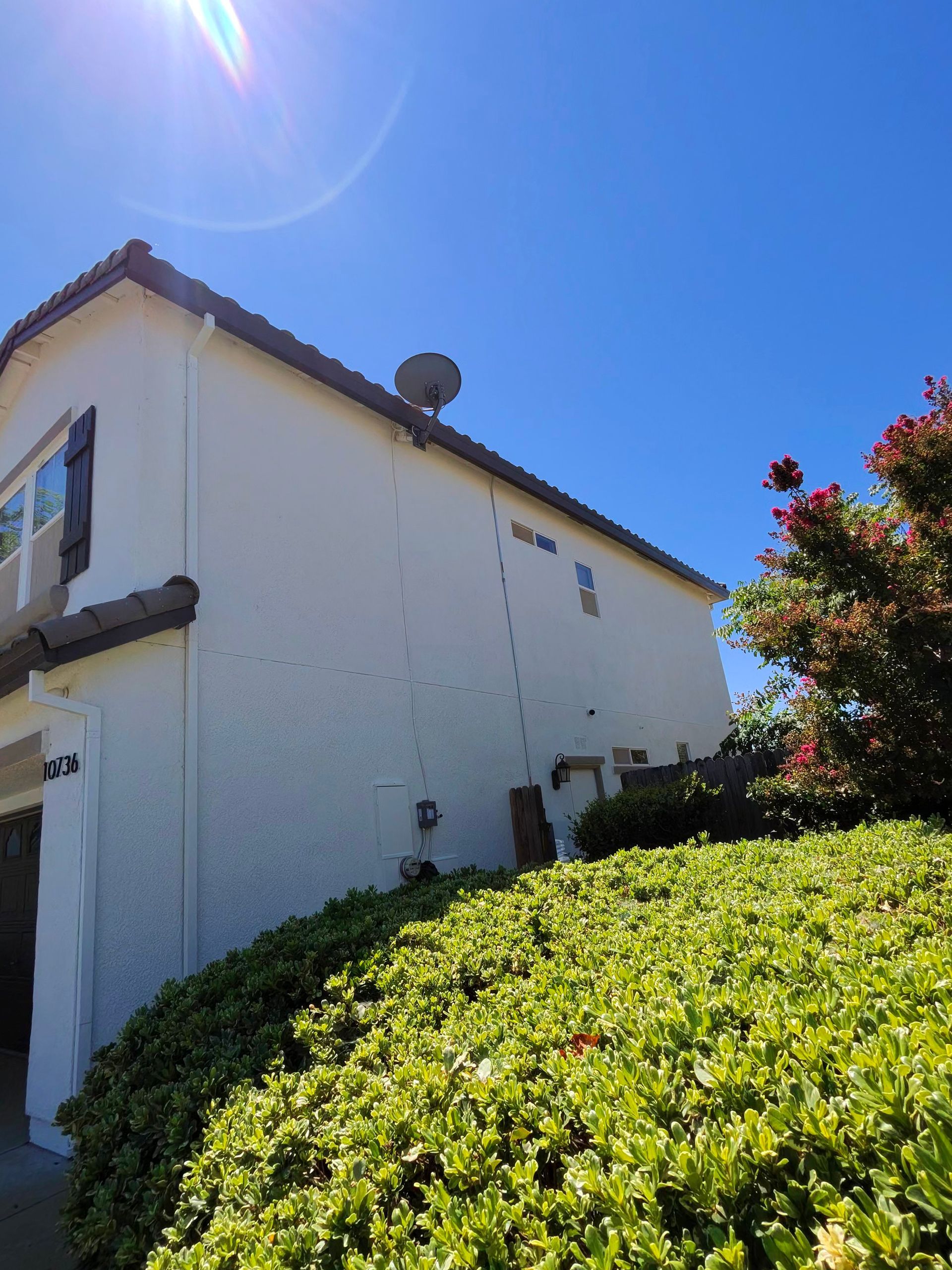 White house with blue trim beside green shrubs under a bright blue sky and sun flare