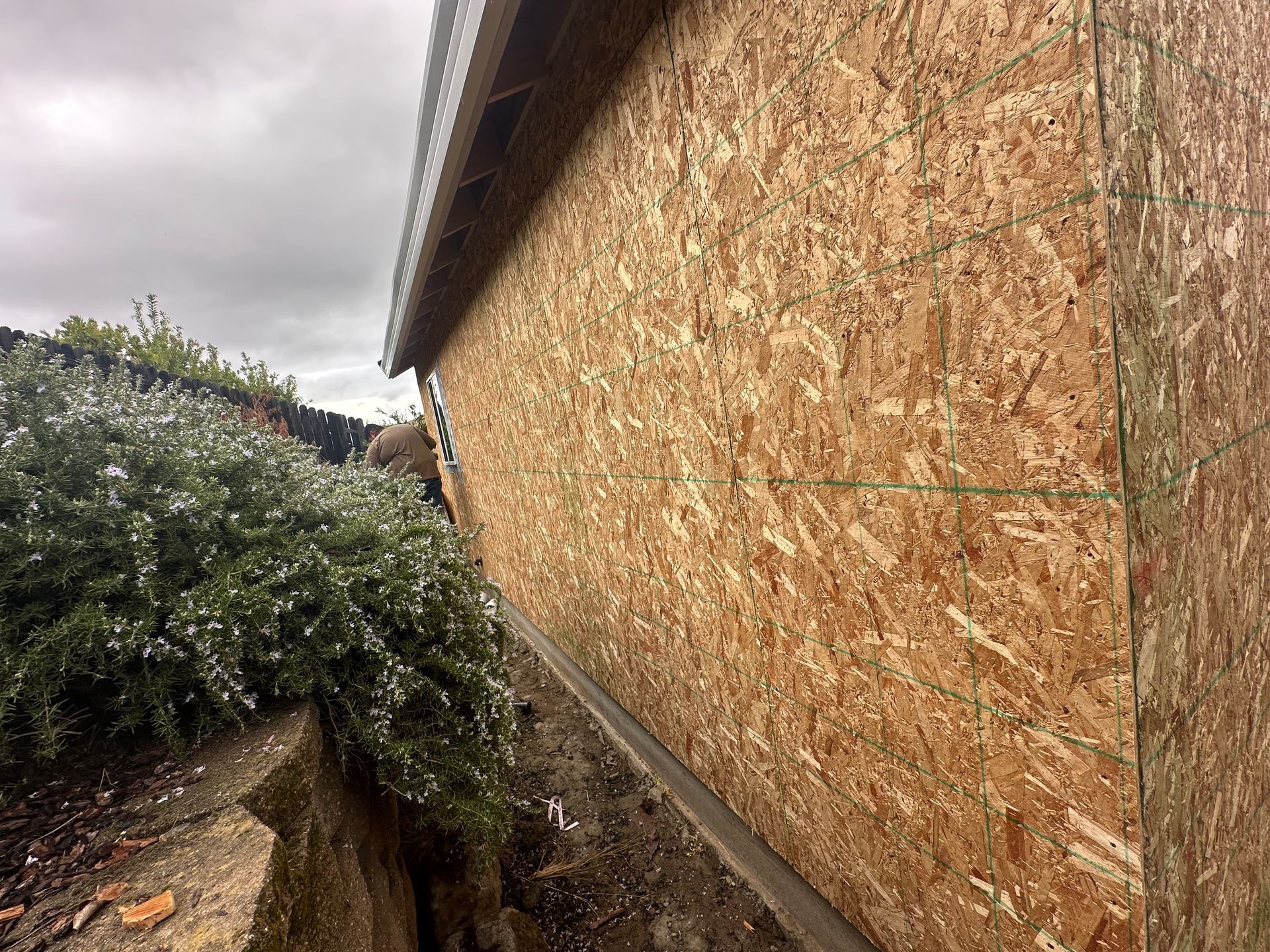 Narrow side yard beside a building with plywood walls and overgrown bushes under a cloudy sky